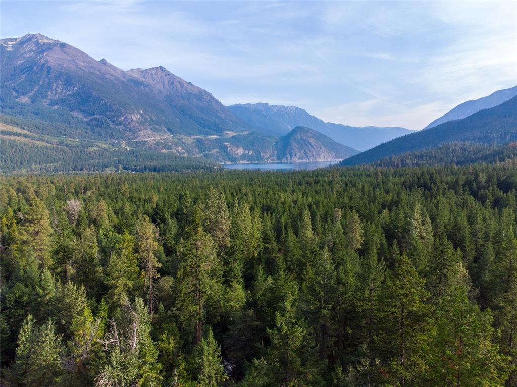  Dl 3129 Haylmore Fsr, Pemberton, BC, V0N 1L0