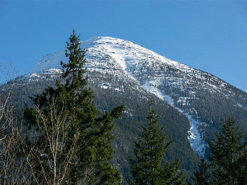 9387 Pemberton Portage Road, Pemberton BC