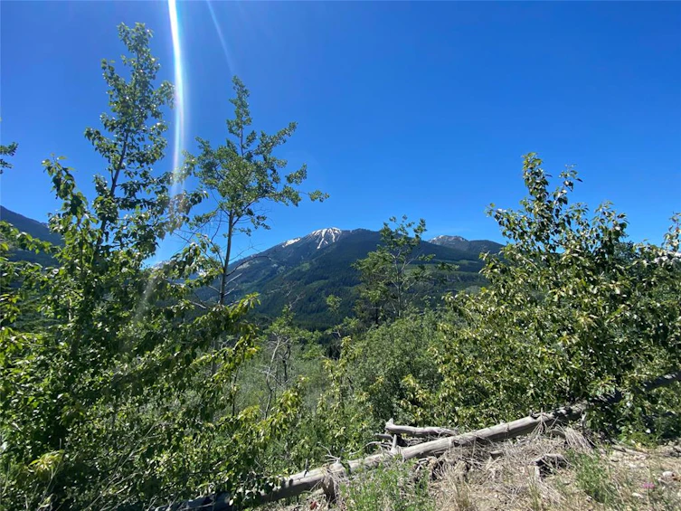 Lot 16-Lot 16 Pineridge Drive, Pemberton, BC, V0K 1P0