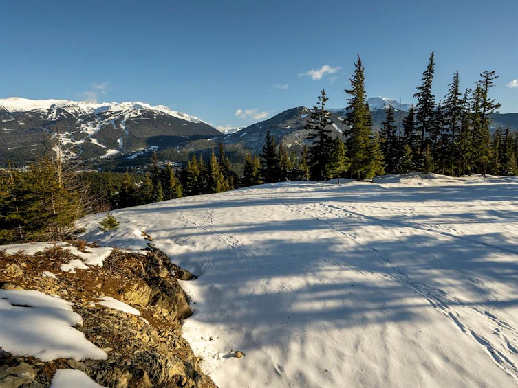 5458 Stonebridge Drive, Whistler, BC, V8E 0V9
