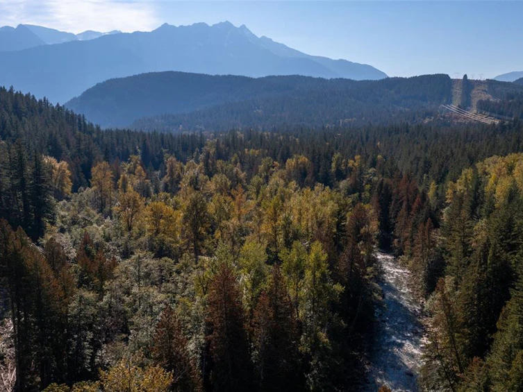 n/a District Lot 8352, Pemberton, BC, V0N 2K0